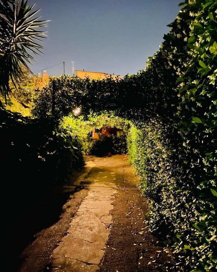 Cosy Studio In The Greenest Corner Of Trastevere Rome Exterior photo